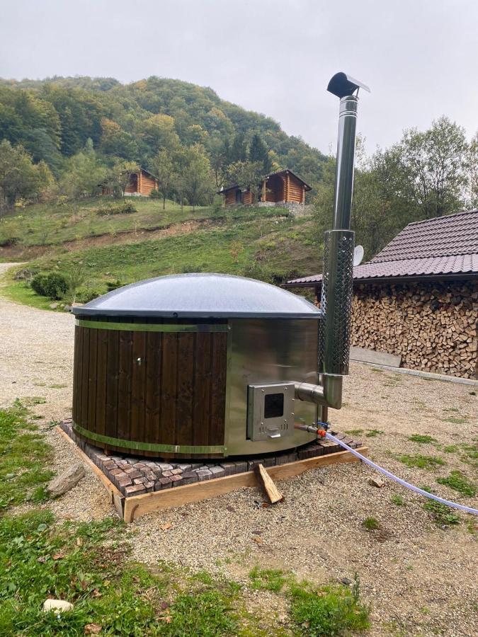 Pensiunea Lupul Dacic Costeşti Exterior foto