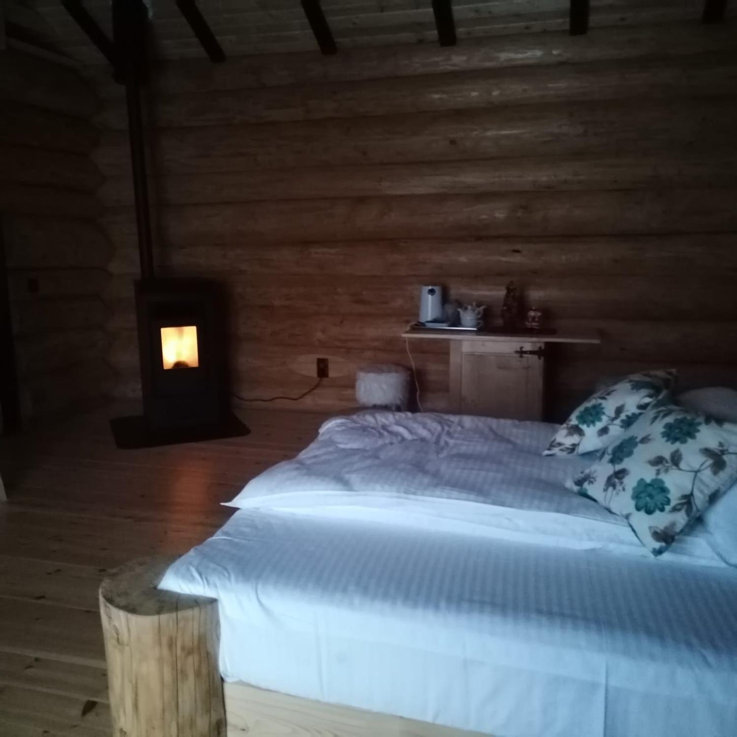 Pensiunea Lupul Dacic Costeşti Habitación foto