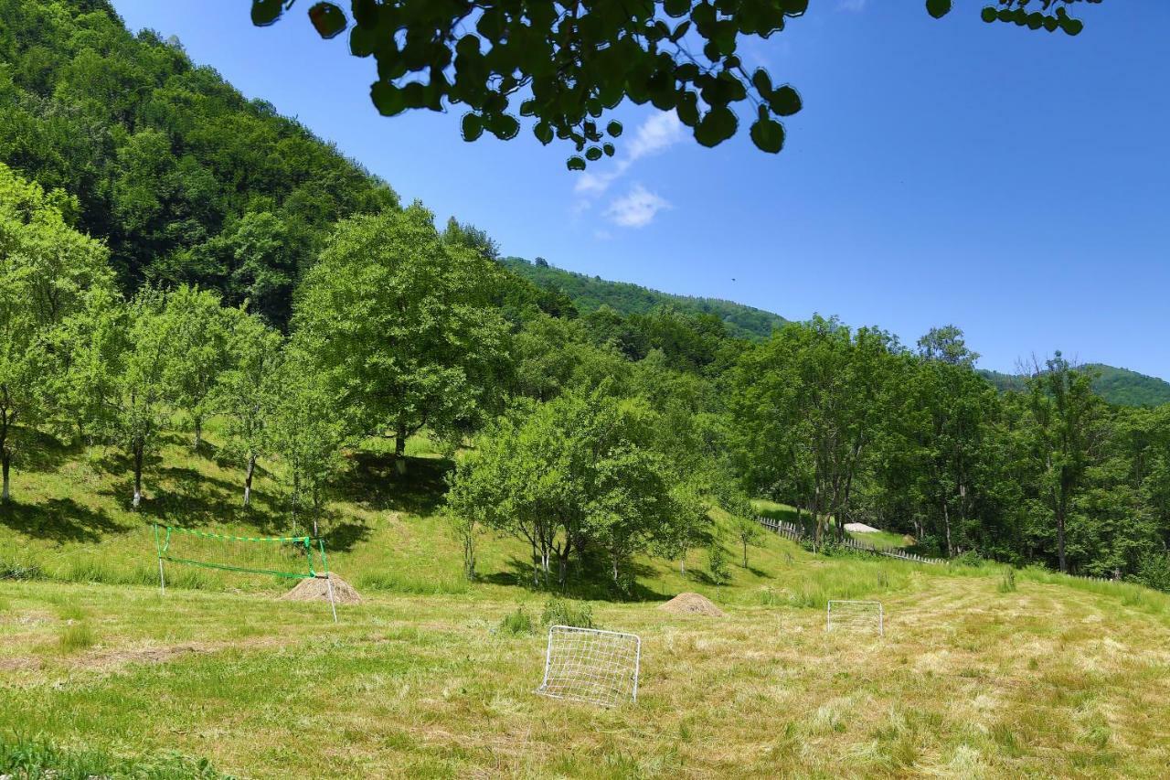 Pensiunea Lupul Dacic Costeşti Exterior foto