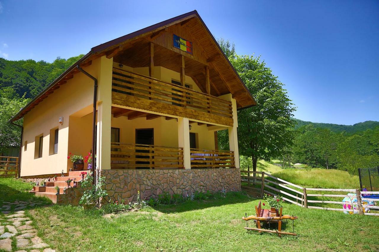 Pensiunea Lupul Dacic Costeşti Exterior foto