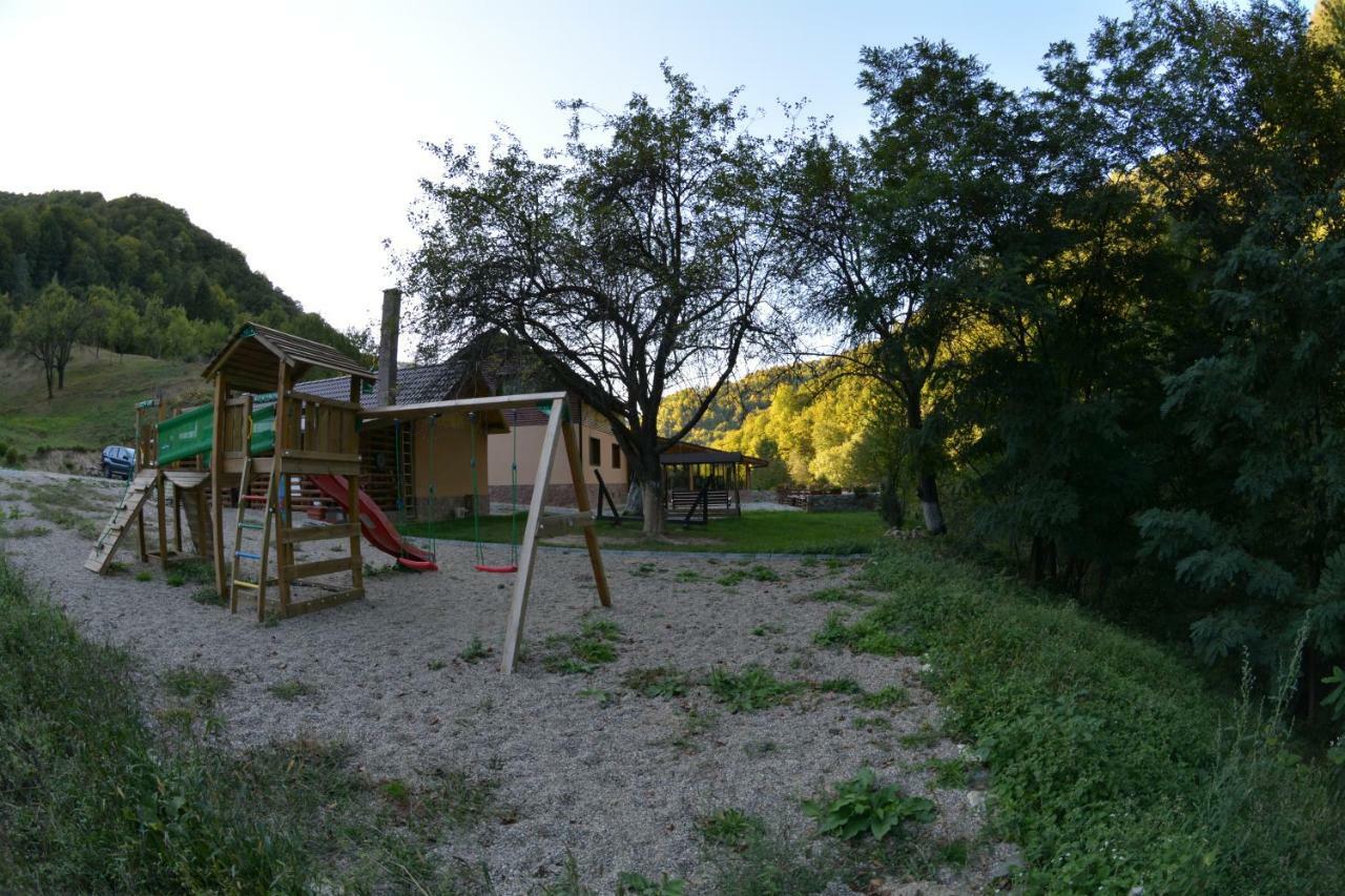 Pensiunea Lupul Dacic Costeşti Exterior foto