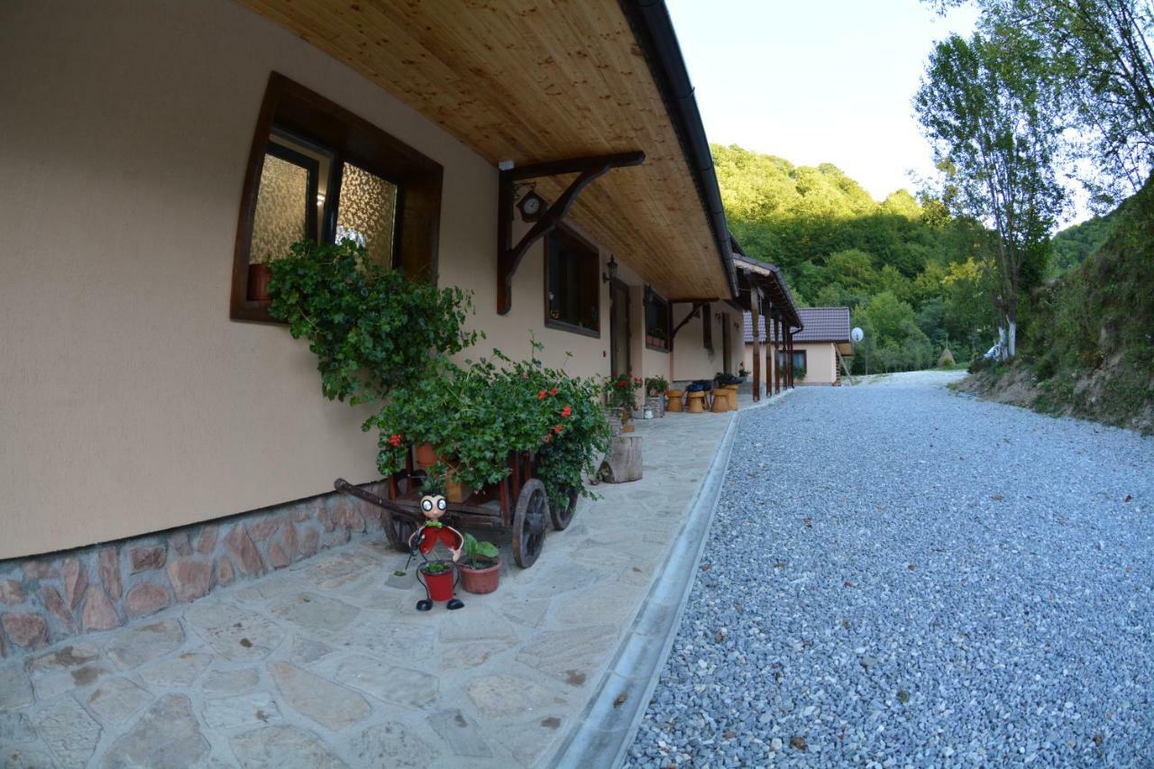 Pensiunea Lupul Dacic Costeşti Exterior foto