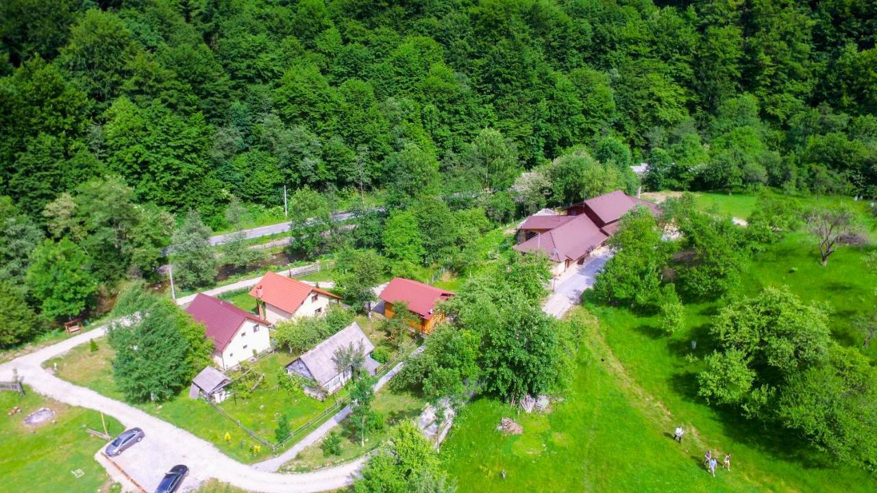 Pensiunea Lupul Dacic Costeşti Exterior foto