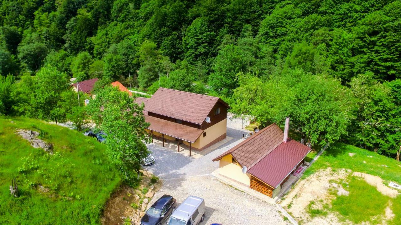Pensiunea Lupul Dacic Costeşti Exterior foto