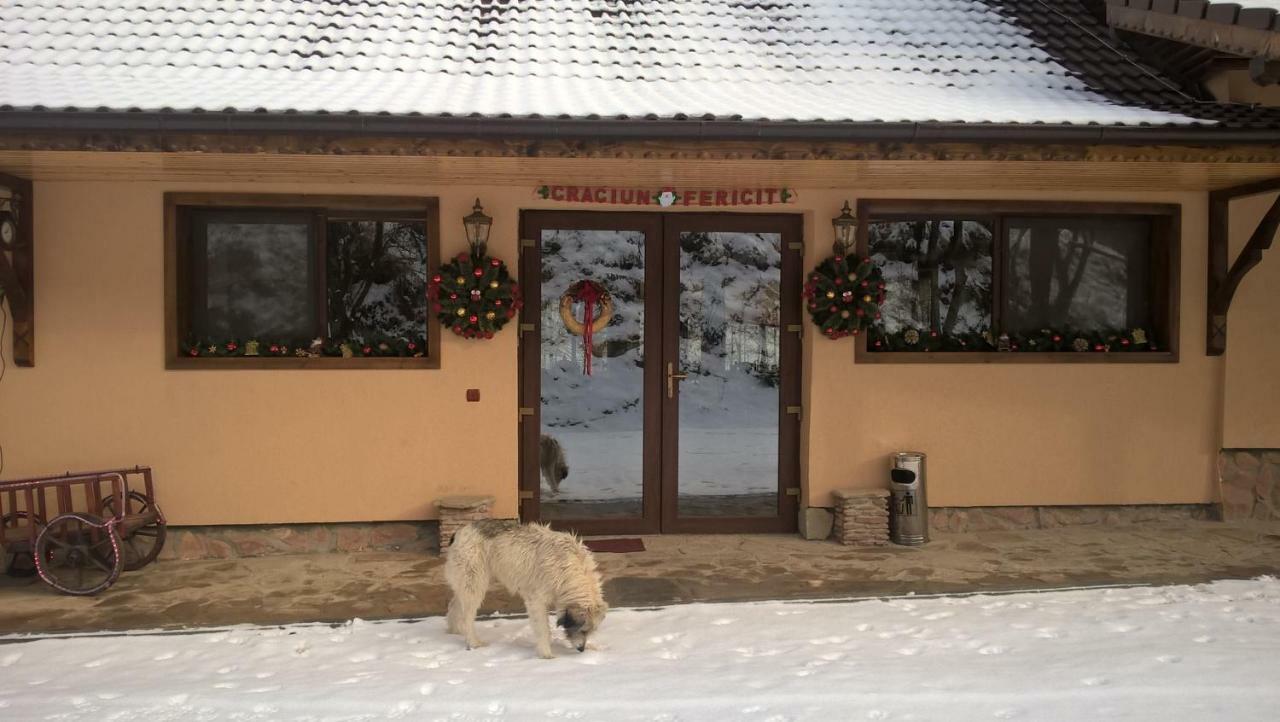 Pensiunea Lupul Dacic Costeşti Exterior foto