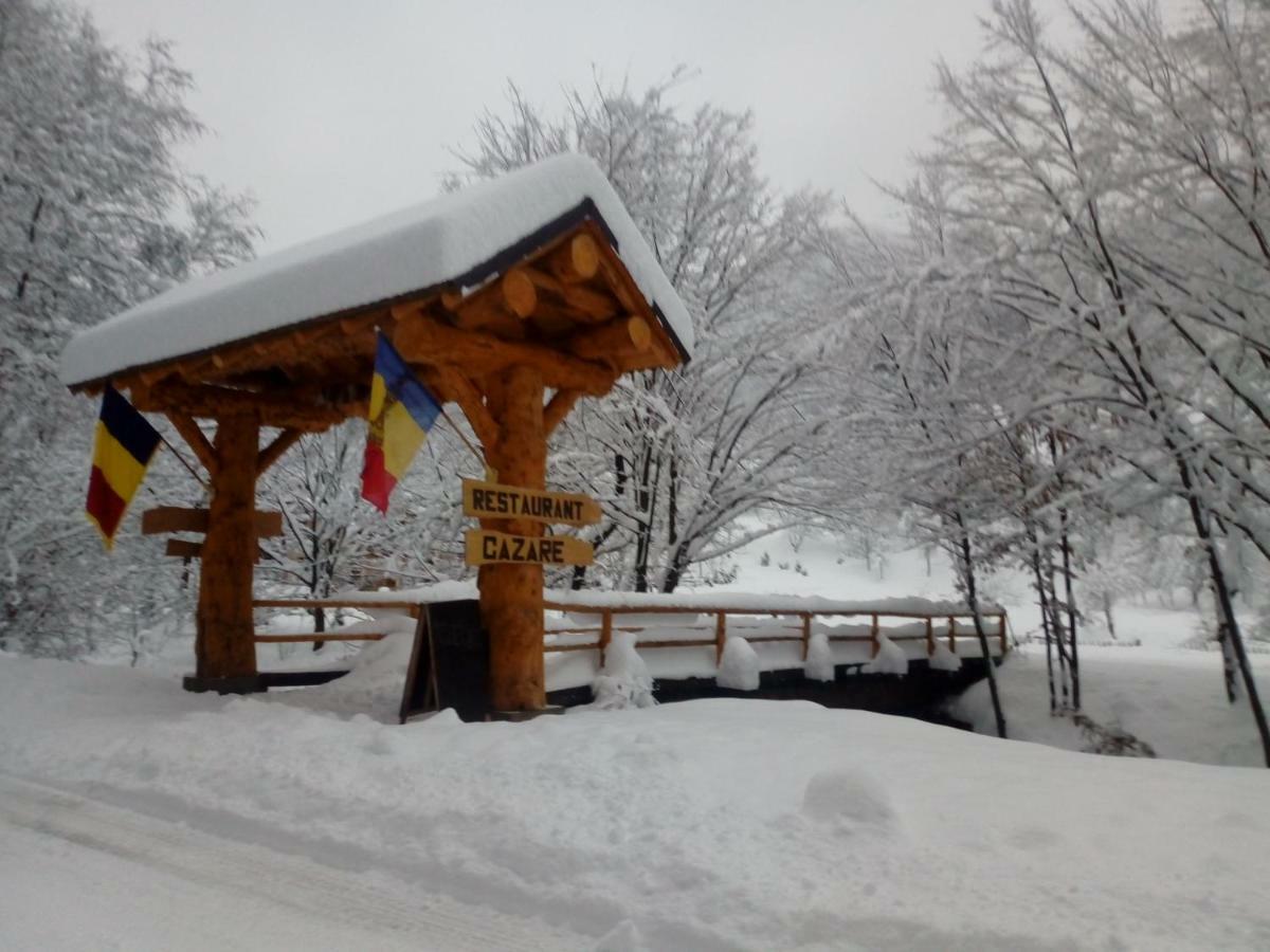 Pensiunea Lupul Dacic Costeşti Exterior foto