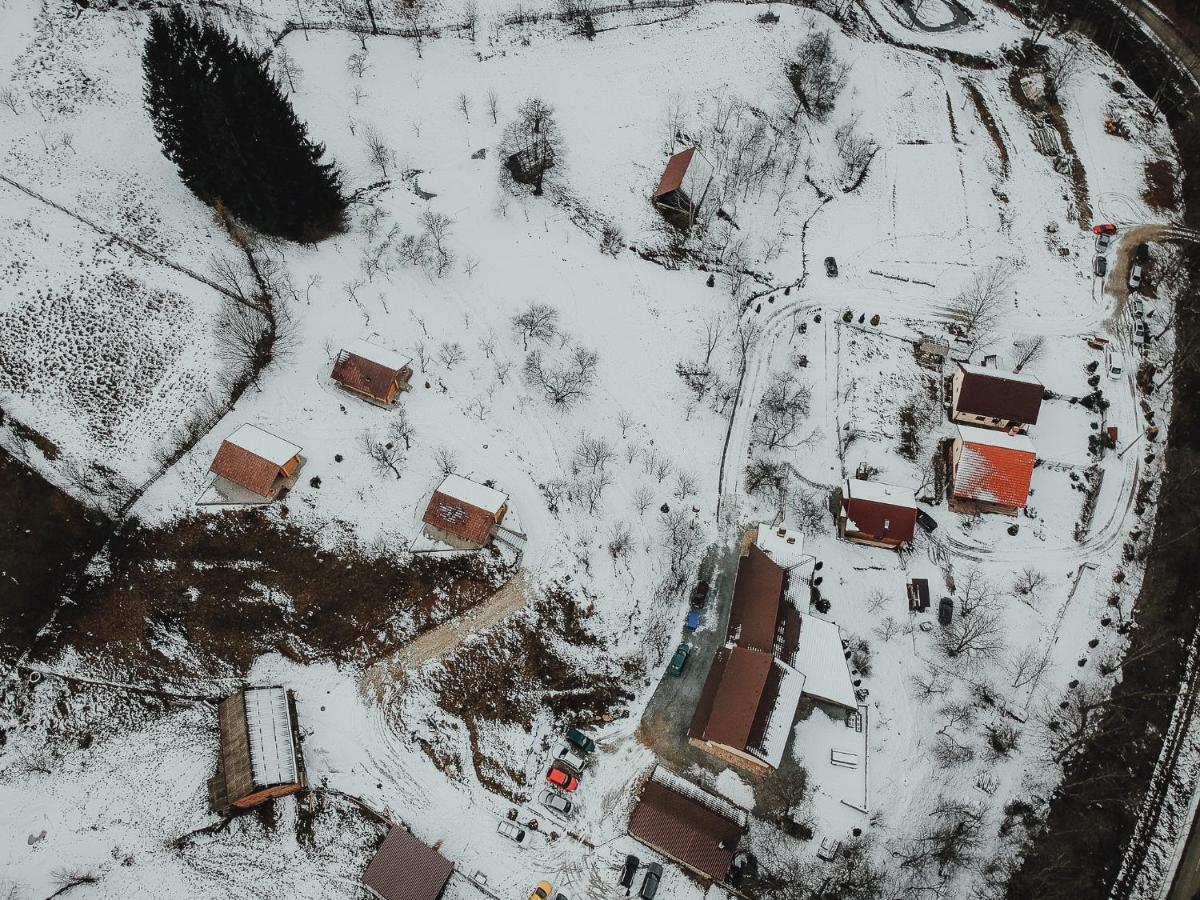 Pensiunea Lupul Dacic Costeşti Exterior foto